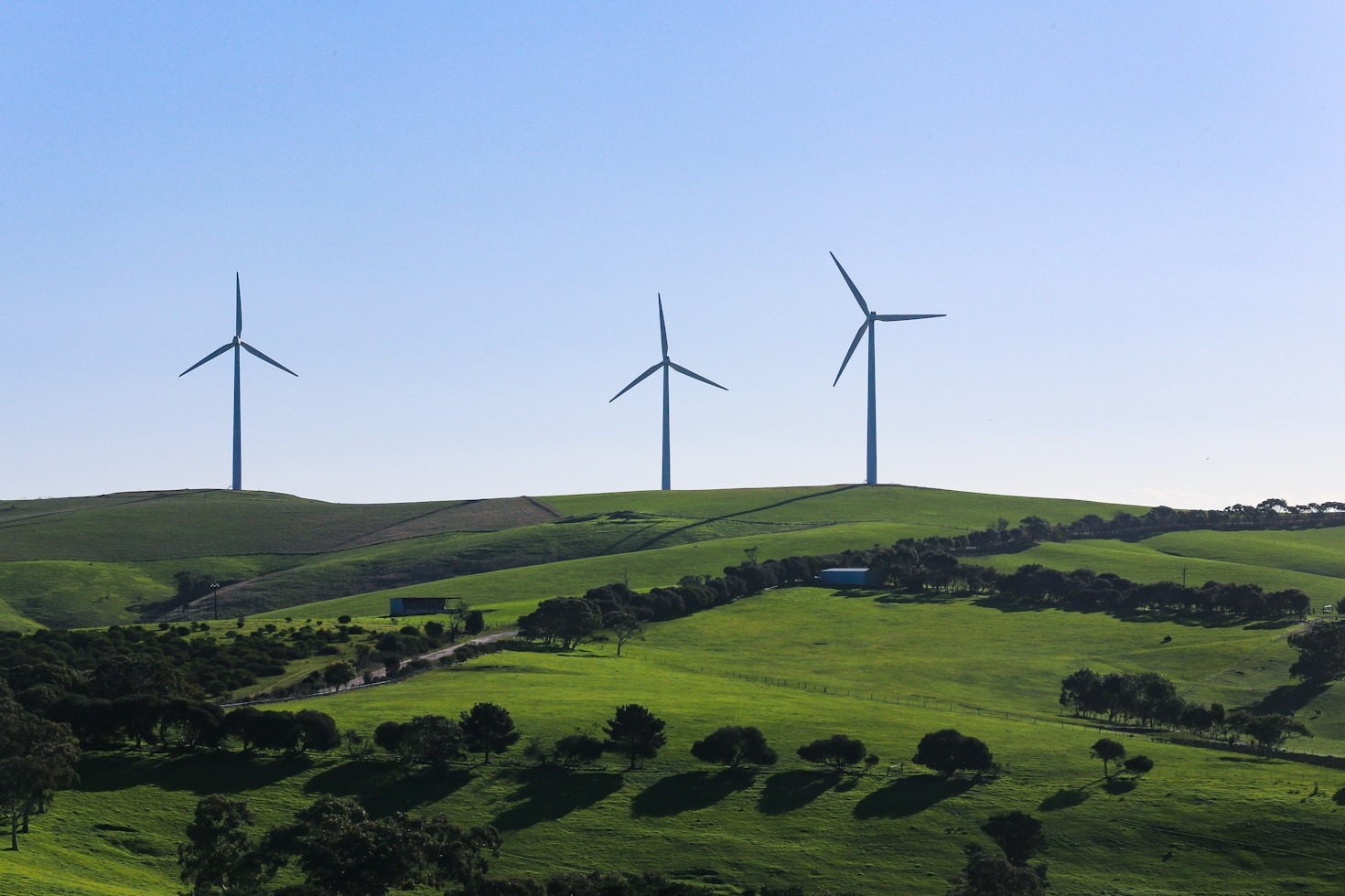 PPNL’s Vision for a Greener and Brighter Tomorrow